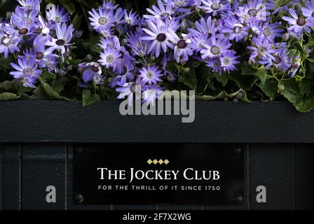 Il marchio del Jockey Club al Randox Health Grand National Festival 2021 presso l'ippodromo di Aintree, Liverpool. Data immagine: Sabato 10 aprile 2021. Foto Stock