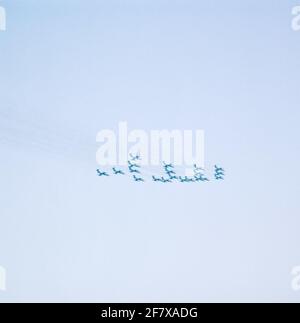 Formazione di 4 X 5 Starfighter Lockheed F-104G della Royal Air Force durante il giorno aperto della KLU presso la base aerea di Peel. Foto Stock