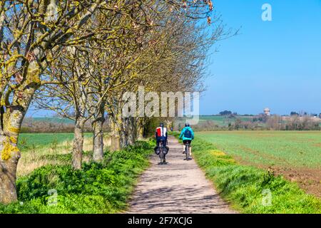 Due ciclisti su un percorso tra i campi nella campagna tra Stotfold e Henlow, Bedfordshire, Regno Unito Foto Stock