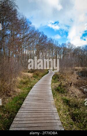 Bellissimo laghetto naturale con cielo nuvoloso a Drenthe Paesi Bassi Foto Stock