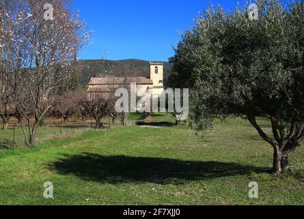 La chiesa di Saint Barthélemy a Vaugines visto attraverso gli alberi in una soleggiata mattina d'inverno (Luberon, Vaucluse, Francia) Foto Stock