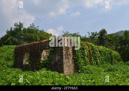 Abbandonato vecchio edificio inutilizzato all'interno della foresta in Kerala Foto Stock