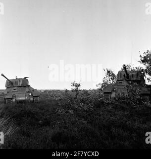 Due carri armati di combattimento medi RAM II, sulla brughiera. Foto Stock