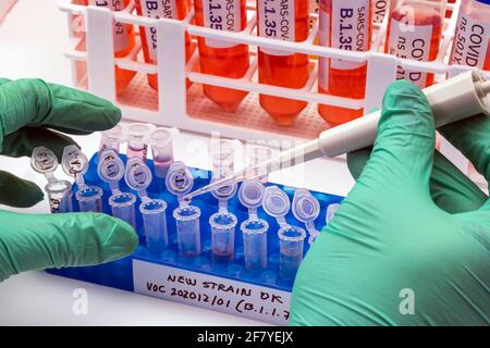 Ricerca di laboratorio nuovo ceppo di sars-COV-2 britannico scientificamente chiamato VOC 202012/01 (B.1.1.7), quadro concettuale Foto Stock