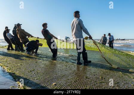 Pescatori che trasportano nella cattura a Babolsar sul Mar Caspio. Iran Foto Stock