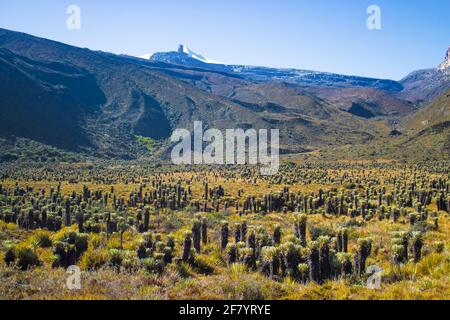 Bella vista del Parco Nazionale di El Cocuy, Colombia Foto Stock