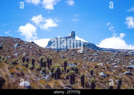 Bella vista del Parco Nazionale di El Cocuy, Colombia Foto Stock