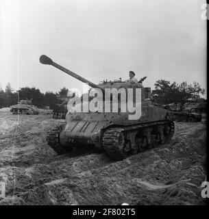 Carri armati, carrier, veicoli armati (Sherman M4A1; RAM II; GMC Staghound; GMC lotter; HUMBER MK i e MK III; Daimler Dingo; Ford Lynx), 1947. Foto Stock