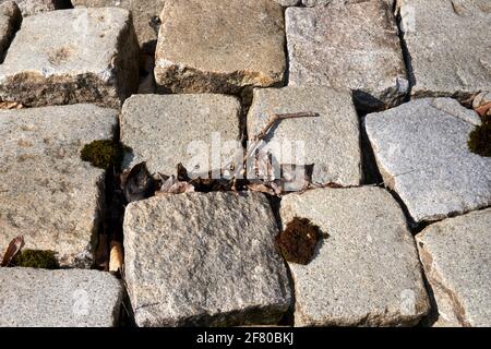 Cumulo di pietre di pavimentazione durante la costruzione di strada. Foto Stock