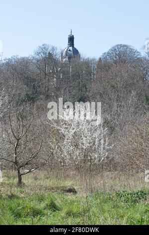 Abbazia di San Michele, Farnborough in primavera Foto Stock