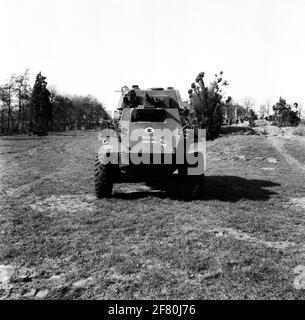 Carri armati, carrier, veicoli armati (Sherman M4A1; RAM II; GMC Staghound; GMC lotter; HUMBER MK i e MK III; Daimler Dingo; Ford Lynx), 1947. Foto Stock