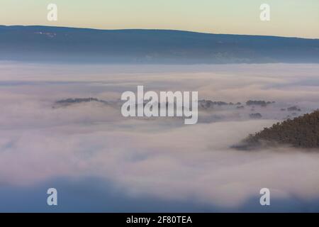 Nebbia nella valle di Megalong nelle Blue Mountains in Nuovo Galles del Sud in Australia Foto Stock