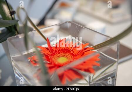 Fiore d'arancio in un vaso che galleggia sull'acqua Foto Stock