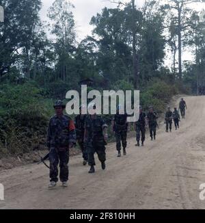 Soldati del corpo dei Marines, dispiegati in contesto UNTAC, sotto la guida di un soldato cambogiano un'area forestale. La Missione avanzata delle Nazioni Unite in Cambogia (Unamic), l'autorità transitoria delle Nazioni Unite in Cambogia (Untac) e il Centro d'azione per le mine cambogiane (CMAC) sono tre missioni sovrapposte per monitorare la pace dopo la guerra civile. Foto Stock