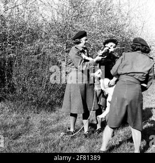 Soldati di donne aiutano il corpo (VHK) nella foto con una capra. Foto Stock