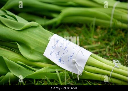 Windsor, Berkshire, Regno Unito. 10 aprile 2021. Centinaia di persone erano a Windsor oggi portando tributi floreali per sua Maestà la Regina dopo la triste passata ieri del suo amato marito, S.A.R. il Principe Filippo, il Duca di Edimburgo. I fiori venivano collocati sull'erba fuori dalle porte del Castello di Windsor sulla Long Walk. Molte stazioni TV erano in Windsor che trasmette in diretta oggi. È stato annunciato che i funerali di S.A.R. il Principe Filippo saranno un evento privato che si terrà nella Cappella di San Giorgio sabato 17 aprile 2021. Credito: Maureen McLean/Alamy Foto Stock