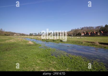 4 aprile 2021 - Berks, Regno Unito: Terreni agricoli con ruscello e pascolo di pecore in background Foto Stock