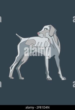 Illustrazione disegnata a mano o disegno di un cane Weimaraner Foto Stock