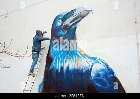 Primo piano dell'artista di strada boe + ironia in azione. Crow Mural è in preparazione su Whiston Road, East London, UK. Apr 2013 Foto Stock