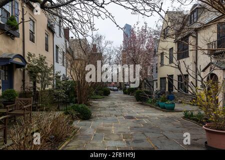 File di edifici di appartamenti in pietra arenaria nel centro della città con finestre, piani cottura e piante in Pennsylvania Foto Stock