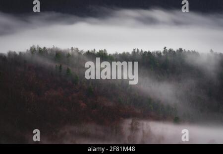 Il movimento della nebbia che si muove intorno ad una cresta nel Parco Nazionale di Shenandoah. Foto Stock
