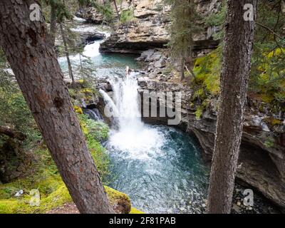 piccolo fiume nel mezzo di una foresta settentrionale in estate Foto Stock