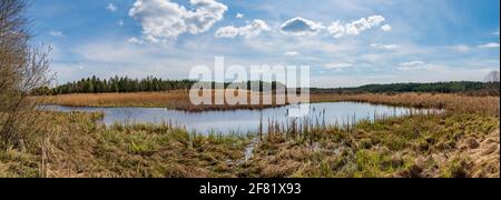 lago bruenauteich nella bassa regione austriaca waldviertel Foto Stock