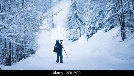 Il fotografo spara una foresta di montagna nei Carpazi in tempo piovoso e nevoso Foto Stock