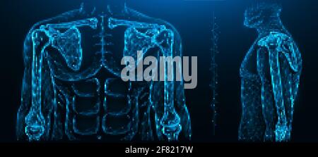 Illustrazione vettoriale poligonale di un modello umano, giunto di spalla e giunto a gomito. Sistema muscoloscheletrico umano Illustrazione Vettoriale