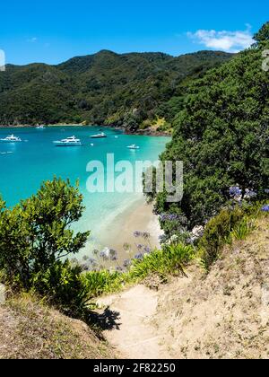 Acqua blu e sabbia bianca di Opourua Bay e Oke Bay e Cape Brett Faro e Cape Brett Hut in Rawhiti Nuova Zelanda Foto Stock