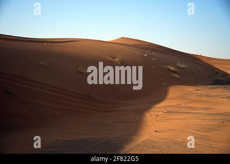 Intorno a Nazwa e deserto di roccia rosa, vista della sabbia e delle piante nel deserto, sharjah, Emirati Arabi Uniti Foto Stock