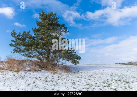 Paesaggio primaverile nella campagna della Repubblica Ceca. Tempo primaverile con neve. Paesaggio rurale. Foto Stock