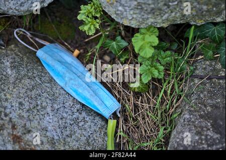 Inquinamento ambientale con maschera chirurgica monouso durante COVID-19. Gettato via o perso maschera blu accanto al recinto di metallo nel Blackrock Park Foto Stock
