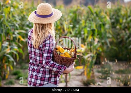 Donna contadina con cappello di paglia che tiene cesta di vimini in campo di mais. Cibo biologico da fattoria a tavola concetto con la donna Foto Stock