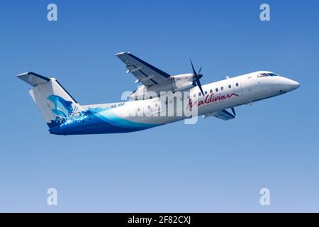 Male, Maldive – 20 febbraio 2018: Maldivian Bombardier DHC-8-300 aereo a Male aeroporto (MLE) nelle Maldive. Foto Stock