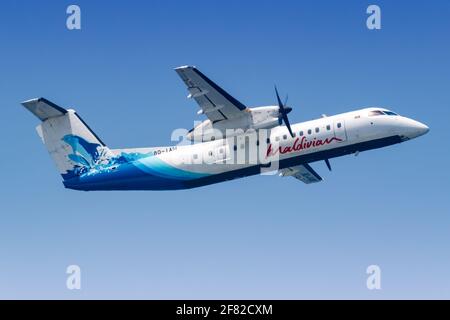 Male, Maldive – 20 febbraio 2018: Maldivian Bombardier DHC-8-300 aereo a Male aeroporto (MLE) nelle Maldive. Foto Stock