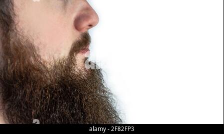 Giovane adulto isolato con barba lunga e baffi su sfondo bianco Foto Stock