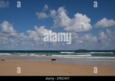 Harlyn Bay, vicino a Padstow, Cornwall, Regno Unito. 11 aprile 2021. Regno Unito Meteo. Soleggiato ma con venti freddi su una spiaggia praticamente deserta di Harlyn Bay questo pranzo. Credit Simon Maycock / Alamy Live News. Foto Stock