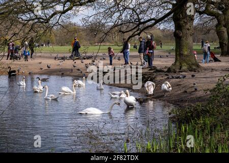 Hollow Ponds, Epping Forest, Laytonstone, Londra, Regno Unito Foto Stock