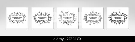 Set di cornici per probiotici disegnate a mano. Progettazione di imballaggi e informazioni mediche. Illustrazione vettoriale nello stile di schizzo Illustrazione Vettoriale