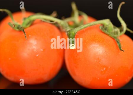 Diversi pomodori maturi, rossi brillanti, organici, gustosi cocktail, primo piano, su sfondo nero. Foto Stock