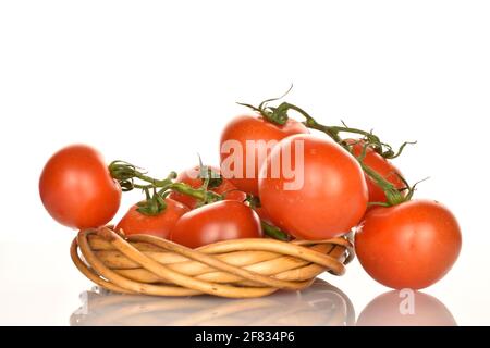 Diversi pomodori da cocktail maturi, rossi brillanti, organici e gustosi con una corona di vimini, primo piano, su sfondo bianco. Foto Stock