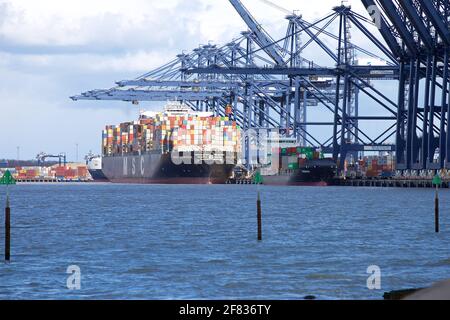 Navi portacontainer MSC Aurora e Pengalia attraccate al porto di Felixstowe, Suffolk, Regno Unito. Foto Stock