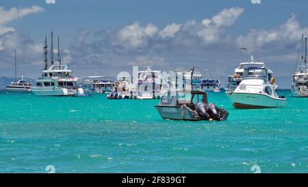 Barca del capitano del porto e barche private nel porto di Puerto Ayora, Isola di Santa Cruz, Galapagos, Ecuador Foto Stock