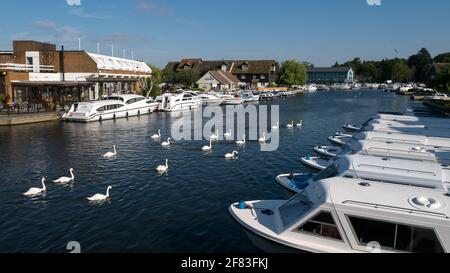 Wroxham sul fiume Bure, con molte barche, considerate la capitale dei Norfolk Broads, Wroxham, Norfolk, Inghilterra, Regno Unito, Foto Stock