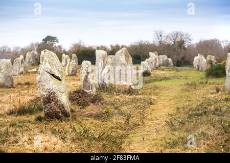 Allineamento di Manio (Carnac, Francia) - un sito archeologico del periodo neolitico Foto Stock