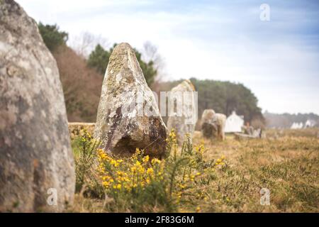 Allineamento di Manio (Carnac, Francia) - un sito archeologico del periodo neolitico Foto Stock