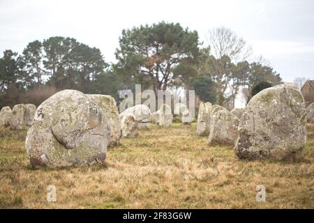 Allineamento di Manio (Carnac, Francia) - un sito archeologico del periodo neolitico Foto Stock