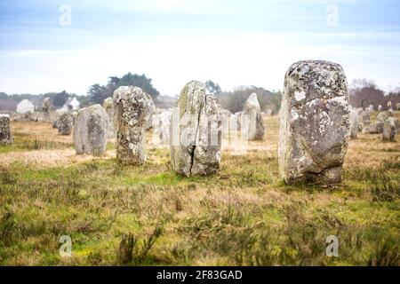 Allineamento di Manio (Carnac, Francia) - un sito archeologico del periodo neolitico Foto Stock