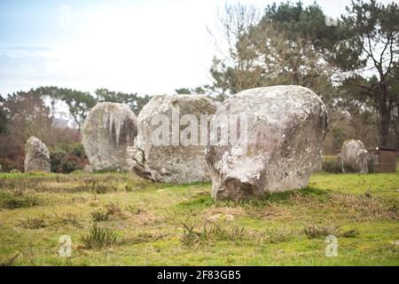 Allineamento di Manio (Carnac, Francia) - un sito archeologico del periodo neolitico Foto Stock